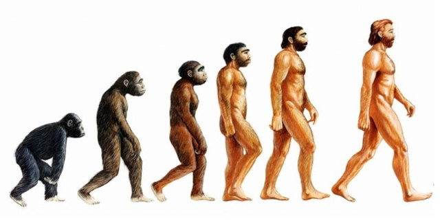 Evolutietheorie