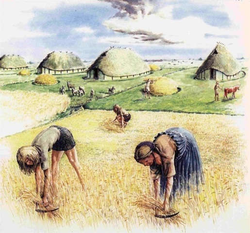 Landbouw komt naar Europa