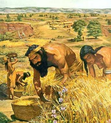 Eerste boeren in Nederland