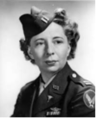 The First Flight Attendant