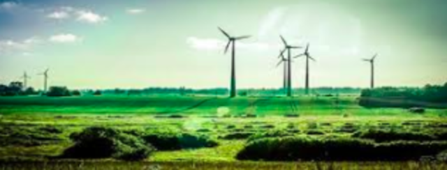 First environmental engineers