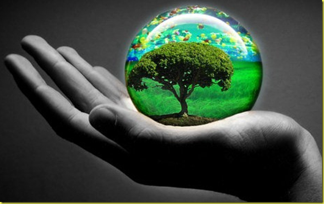 La Primera conferencia sobre protección de la Naturaleza