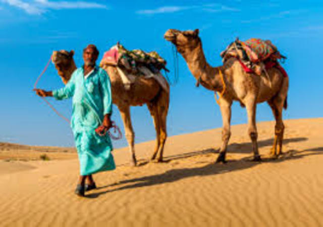 Evolution of transportation