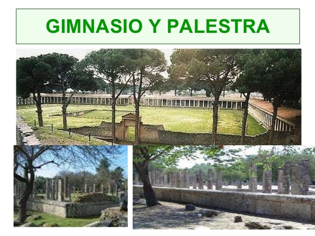 Palestras y Gimnasios