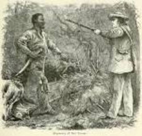 Nat Turner: Slave Insurrection