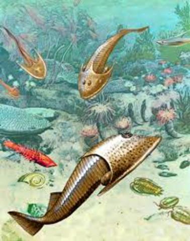 Período Ordovícico