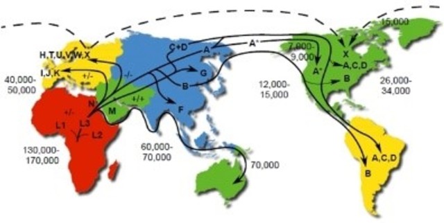 De verspreiding van de moderne mens over de wereld