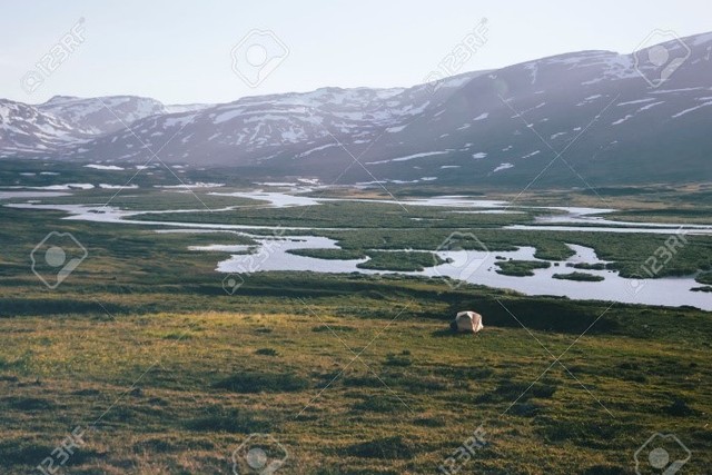 Ontstaan van toendra’s