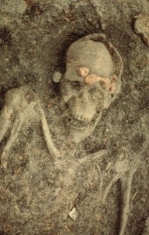 Sporen van aanzien gevonden (sieraden) in Flevoland