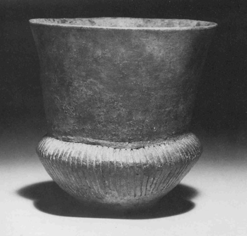 trechterbeker ui het hunnebed in drouwen