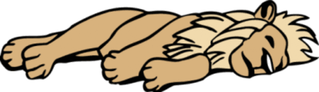 Desaparicion y muerte