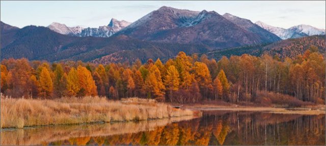 Было создано 28 новых заповедников, 25 национальных парков и 11 федеральных заказников