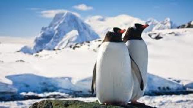 antarctica adventure