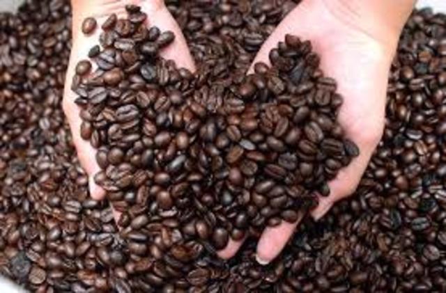 Primera Exportación del Grano de Cafe