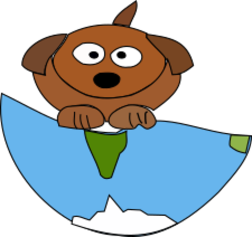 sobrepoblacion de perros