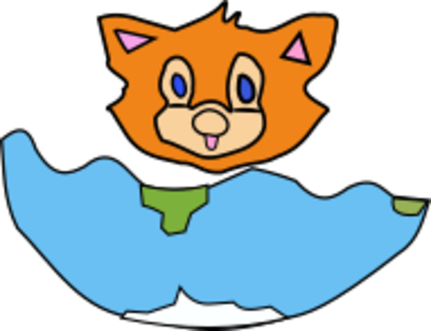 sobrepoblacion de gatos