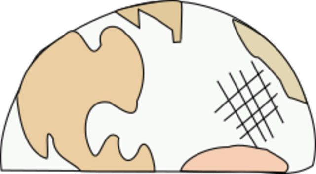 mundo totalmente dañado