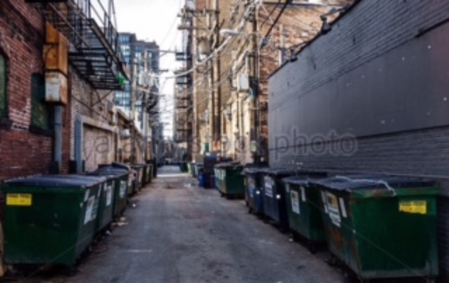 Social Responsibility