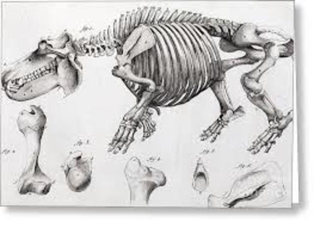 Interés en estudiar fociles
