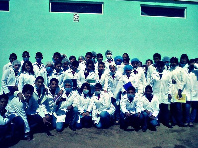 plantear, organizar y operar el trabajo en el laboratorio, a través de diferentes tipos de análisis