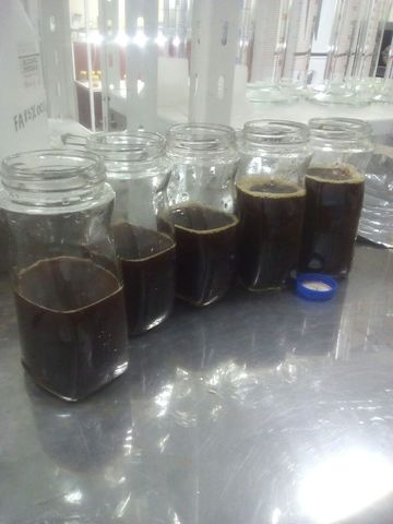 Preparación liquida para colonización de los micelios