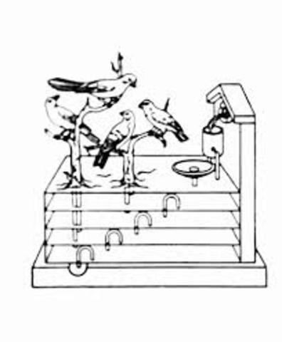 DURANTE SIGLOS XVII Y XVIII