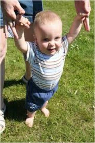 Aprendiendo a caminar.