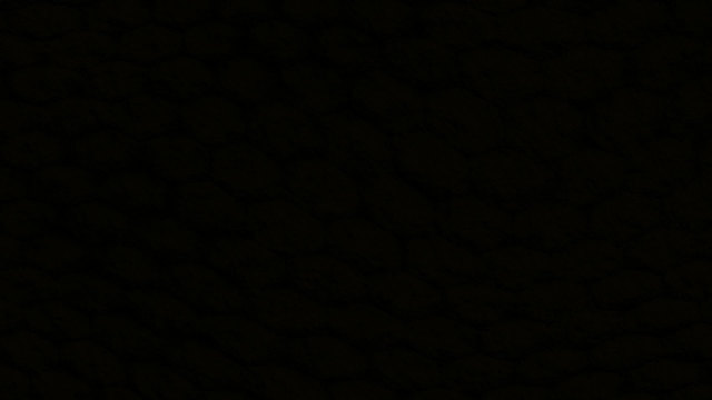 Election of Martin van Buren