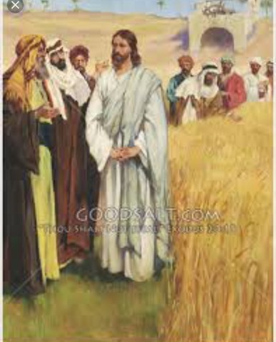 Jesus in the Cornfield on the Sabbath