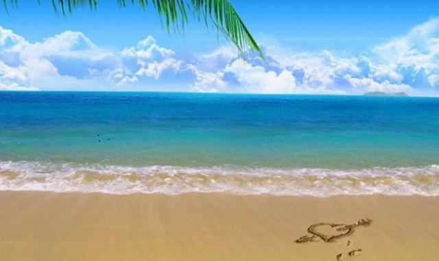 El verano le trajo una nueva vida