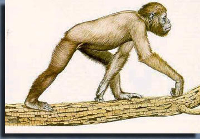 Charles Darwin y Alfred Russel Wallace