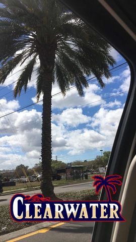 Florida and South Dakota