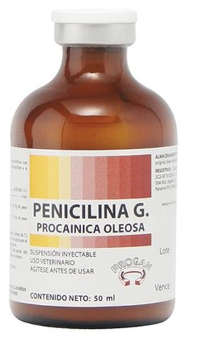 la penicilina