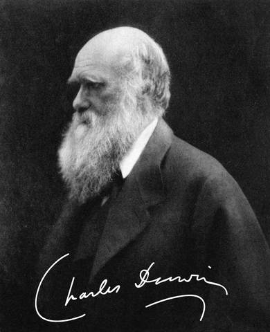 Los mecanismos de evolución