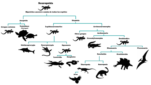 Evolución de la vida 2000 millones años