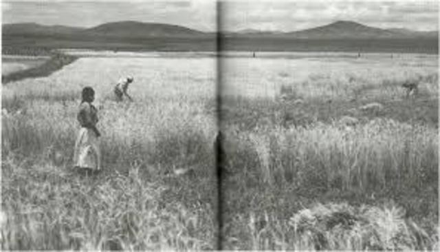 Produccion en granos