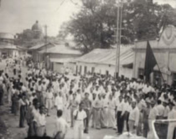 Tropical Oil Company