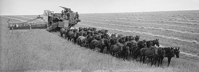 18th century farming