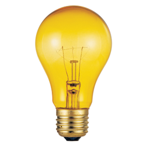 Lámpara incandescente (Thomas Edison)