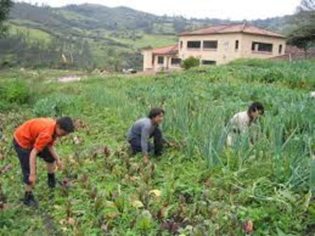 Mexico verbouwde ook groenten