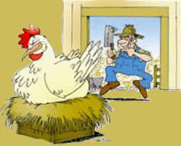 Vemos que este señor dice que si mata a la gallina le tarea suerte para conseguir la mina de oro