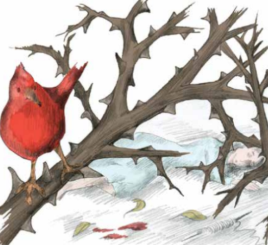 Quince años han pasado.