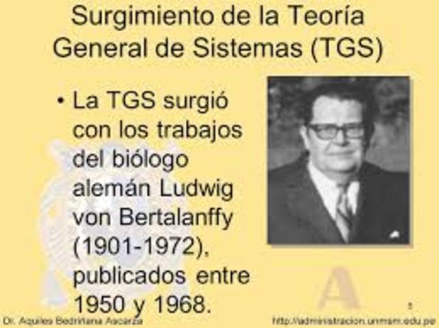TEORÍA DEL SISTEMA