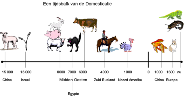 Dieren worden gedomesticeerd.