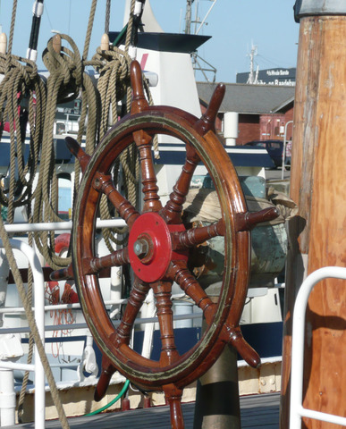 Descubriment del TIMÓ