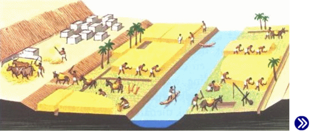 landbouw samenleving in de vruchtbare Nijl vallei.