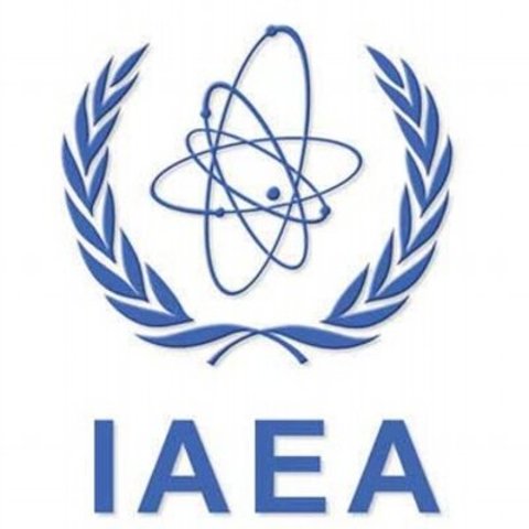 International Atomic Energy Agency(IAEA)
