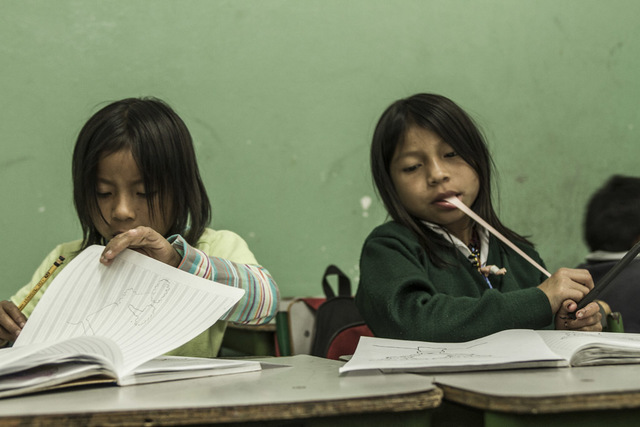 Los niños Embera obtienen el acceso a las instituciones de educación publica entre ellas el Liceo Agustín Nieto Caballero de la localidad de Mártires a través de la Secretaria de Educación Distrital