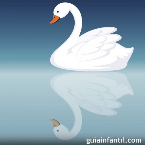 El patito descubre que es un cisne