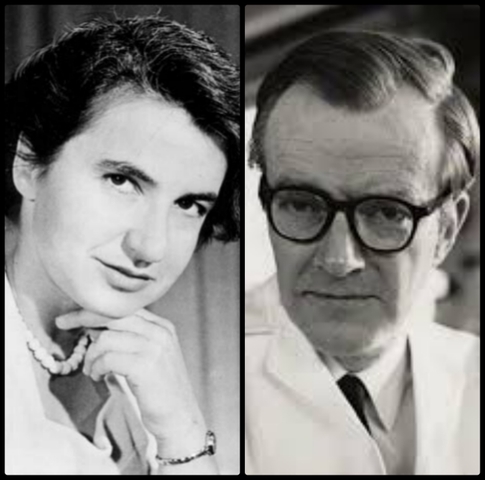 Rosalind Elsie Franklin y Maurice Hugh Frederick Wilkins